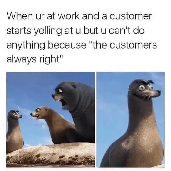 A customer service meme from Finding Nemo, showing the sea lions' "broken" face when a customer yells.