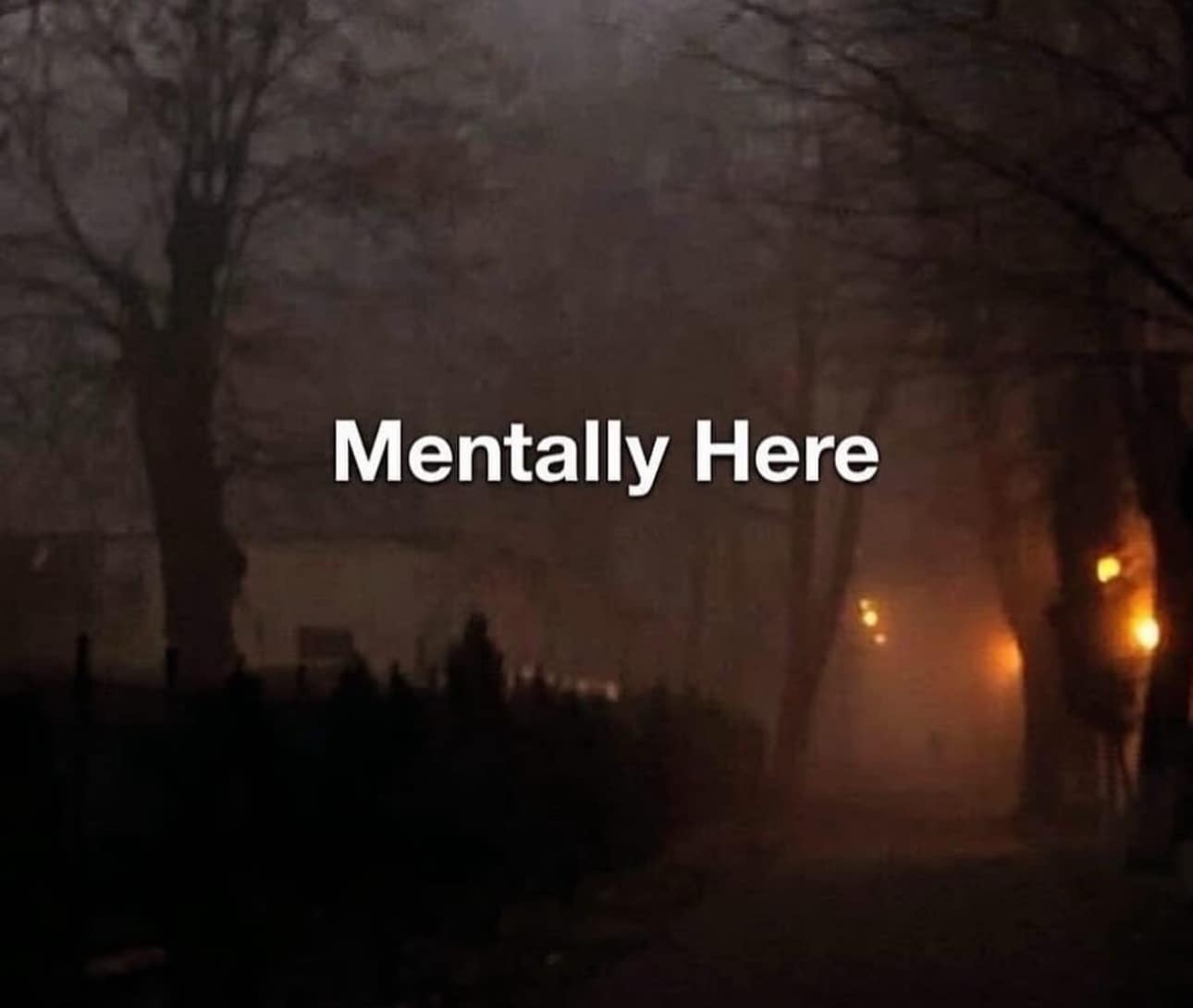 A dark, foggy street with the text "Mentally Here," used as a classic depressing meme.