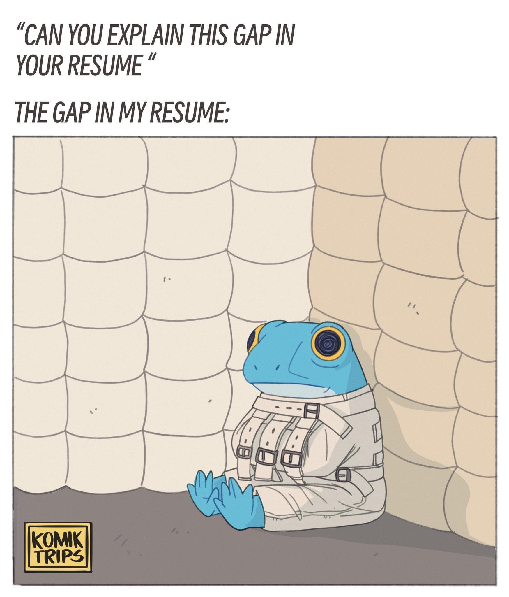A funny depressing meme of a cartoon frog in a straightjacket, used to explain a "gap in your resume."
