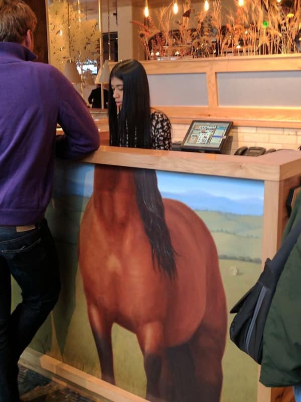A hilarious reception desk design fail turning a woman into a horse.