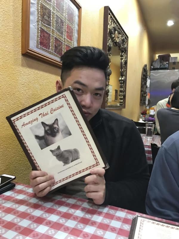 A menu design fail featuring photos of cats on a Thai cuisine cover.