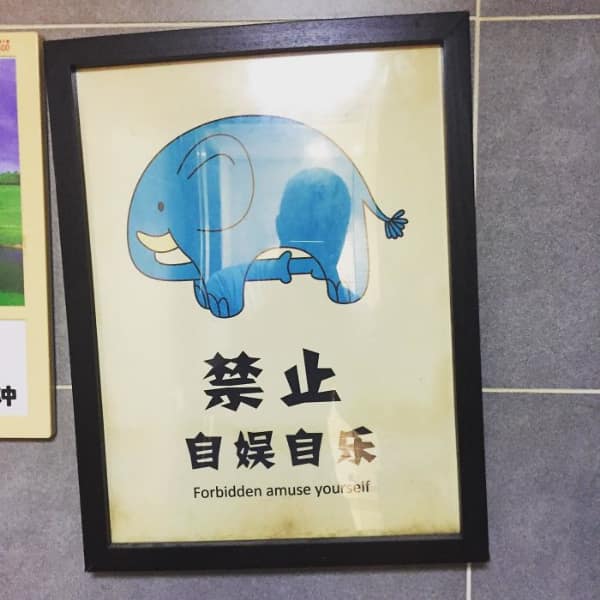 A translation design fail featuring a suggestive elephant illustration.