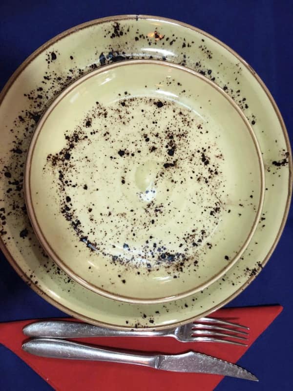 A dinnerware design fail where the speckles look like dirt or bugs.