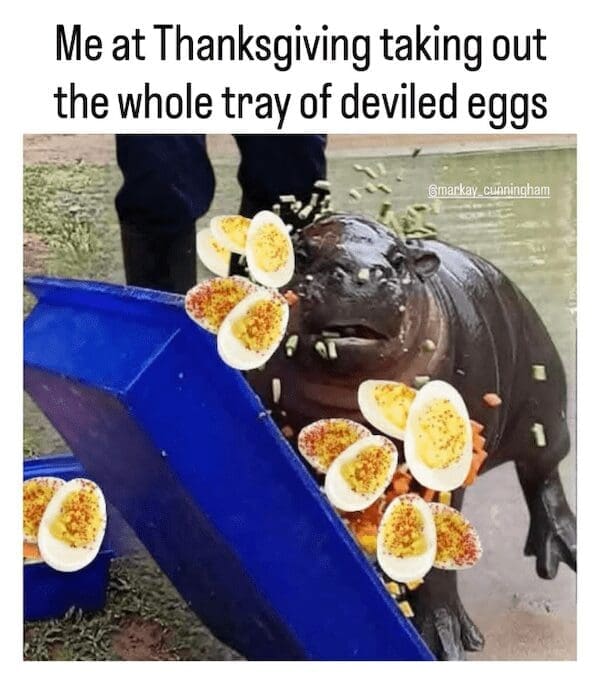Hungry hippo toy covered in deviled eggs devouring a tray at Thanksgiving.