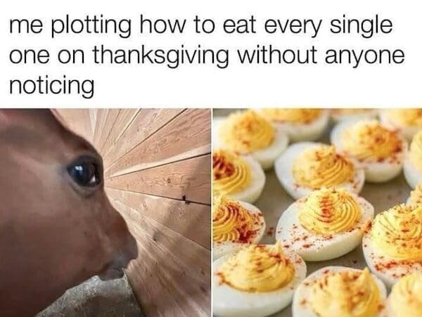Close up of a horse staring intently next to a tray of deviled eggs.
