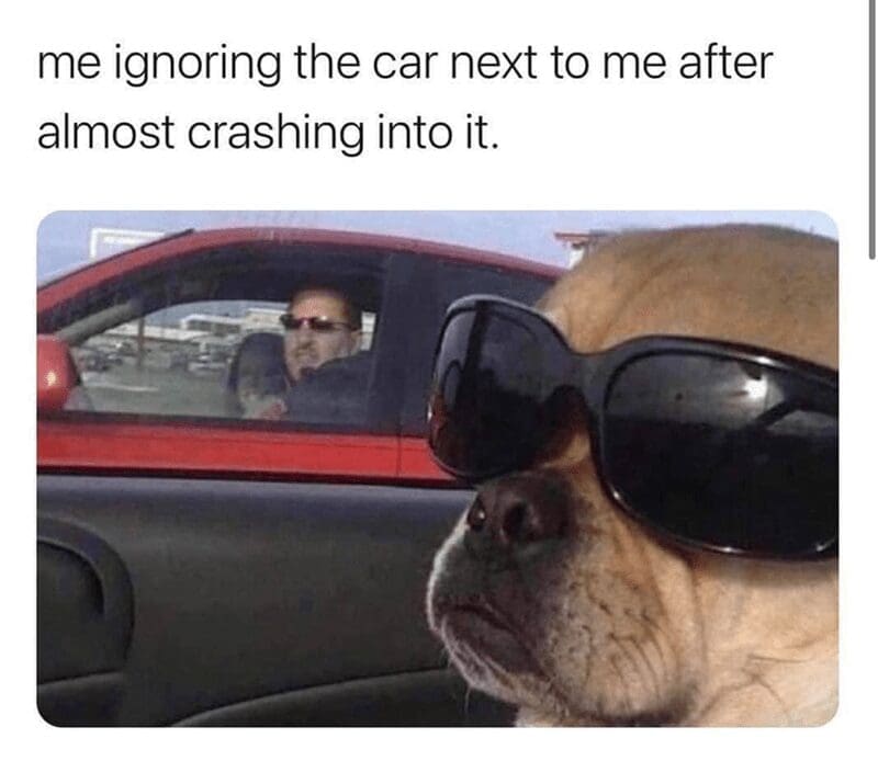 Cool dog wearing sunglasses ignoring angry driver in other car meme.