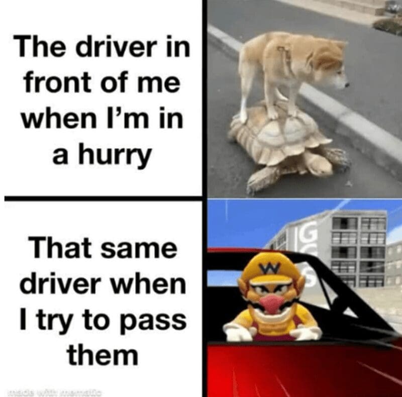 Meme comparing slow driver to turtle and fast Wario when passing.