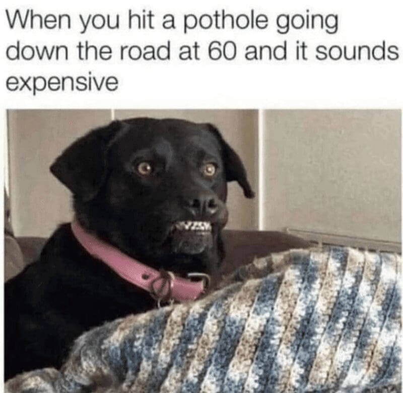 Black dog grimacing in pain meme about hitting expensive pothole.