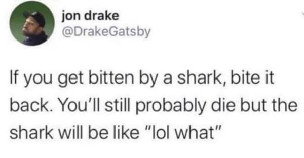 Tweet suggesting biting a shark back to confuse it before being eaten alive.