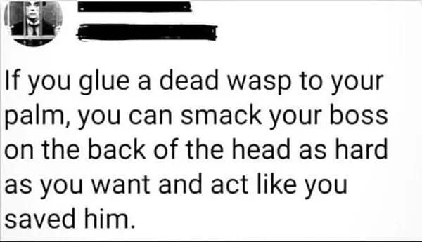Text post suggesting gluing a wasp to your hand to hit your boss.