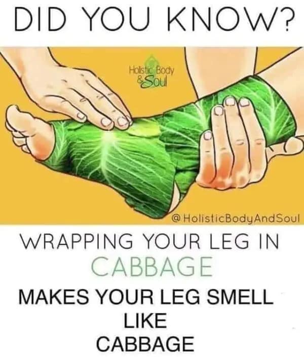 Diagram of a foot wrapped in cabbage leaves with obvious text about the smell.