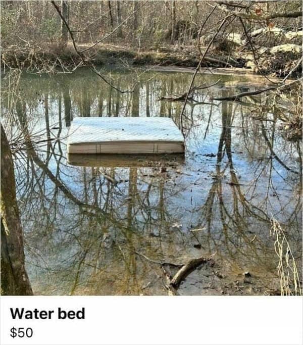 A hilarious facebook marketplace meme of a mattress floating in a creek, with the listing "Water bed."
