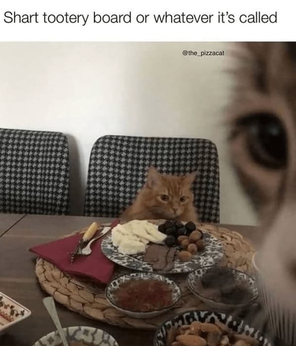 Funny cat meme with one cat at a table and another's eye in the foreground, captioned "Shart tootery board."