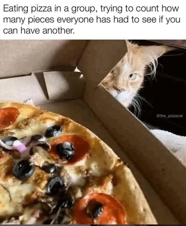 A funny cat peeking into a pizza box, captioned about counting how many slices everyone else has had.