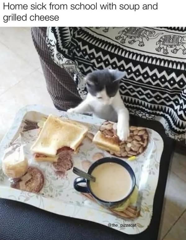 A cute kitten on a bed pawing at a grilled cheese sandwich on a "home sick from school" tray.