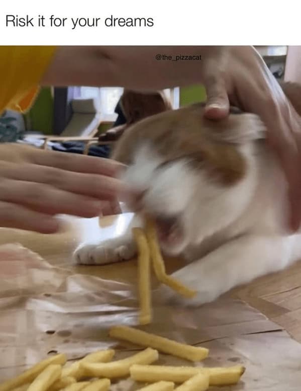 A blurry action shot of a cat aggressively grabbing multiple french fries from a person's hand.