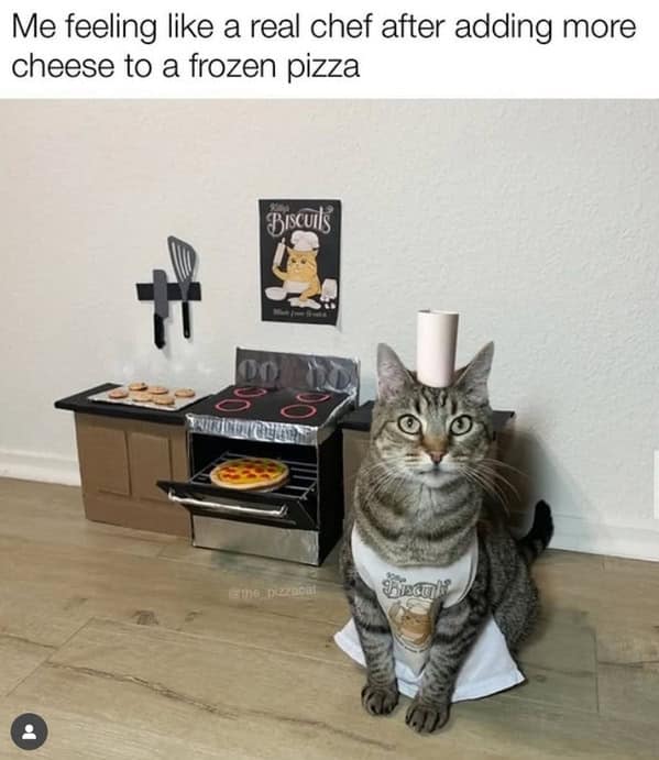 A proud tabby cat in a chef's hat and apron, standing in a tiny cardboard kitchen with a pizza.