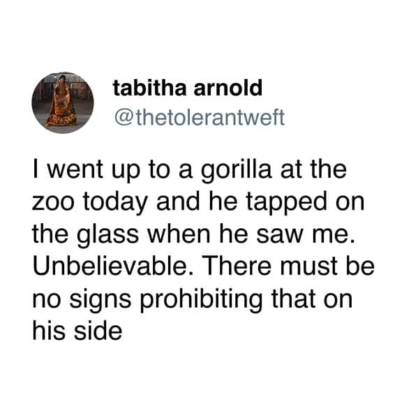 funniest tweets by women about a rude gorilla at the zoo tapping glass.