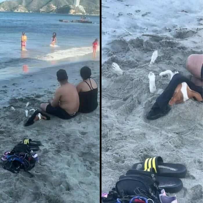 A funny animal picture of a dog buried in the sand on a beach, with only its paws and nose visible.