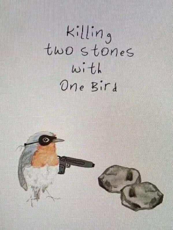 A funny bird meme showing a bird with a gun, with the caption "killing two stones with one bird."
