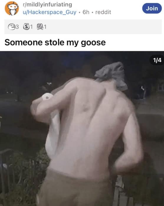 A funny bird meme from Reddit, showing a doorbell cam photo of a shirtless man "stealing a goose."