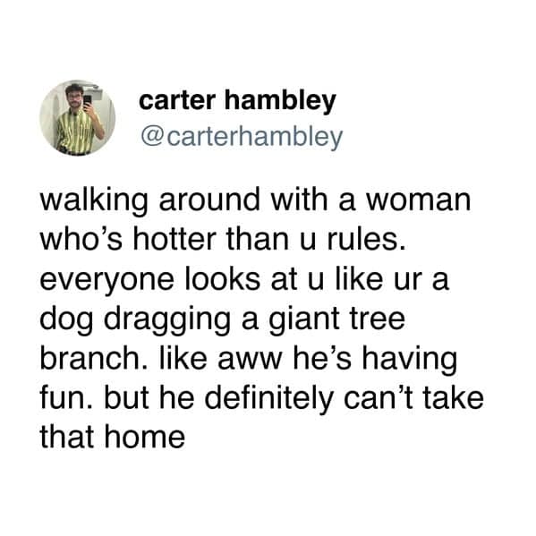A funny dog and cat tweet comparing a guy with a hot girlfriend to a dog dragging a giant branch