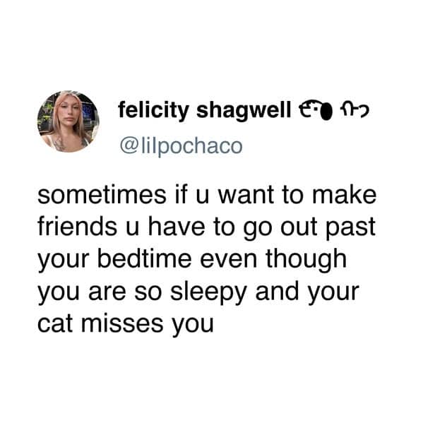 A funny dog and cat tweet about the introvert struggle of socializing when your cat misses you.