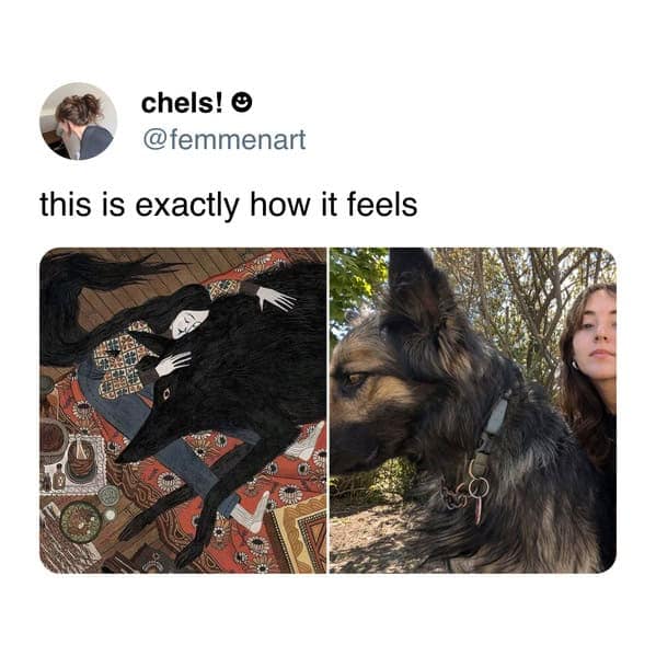 A funny dog and cat tweet comparing a girl with a big German Shepherd to a fantasy illustration of a woman hugging a giant wolf.