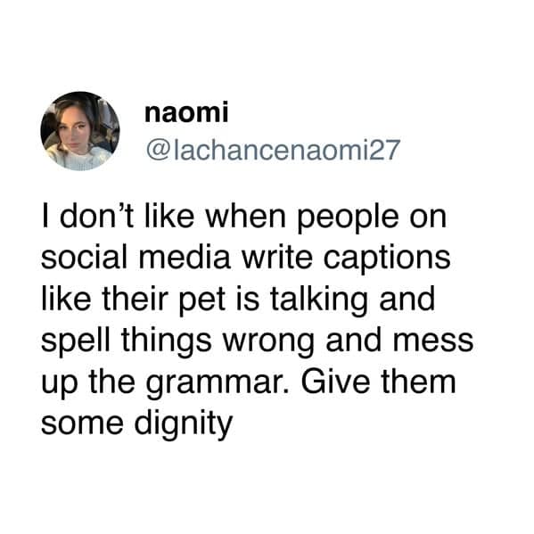 A funny dog and cat tweet criticizing the "doggo-speak" and "chimken" language used for pet captions.