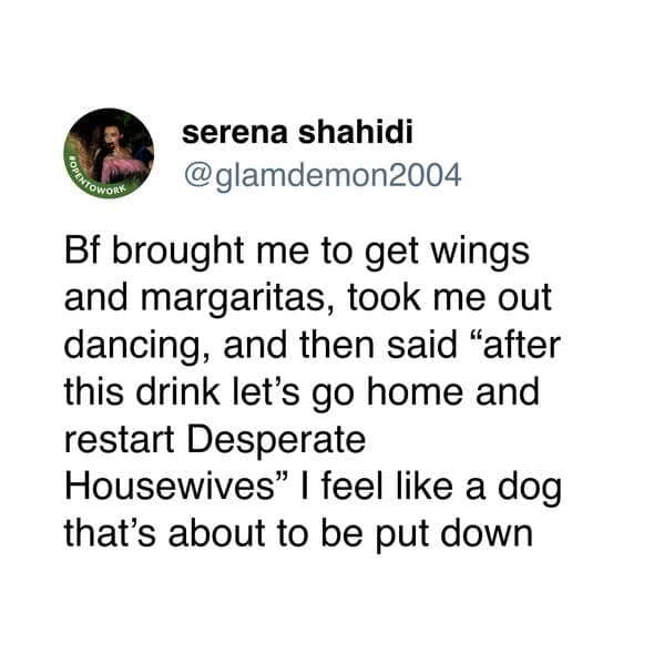 A funny dog and cat tweet joking that a "perfect day" with a boyfriend feels like a dog's "last day."