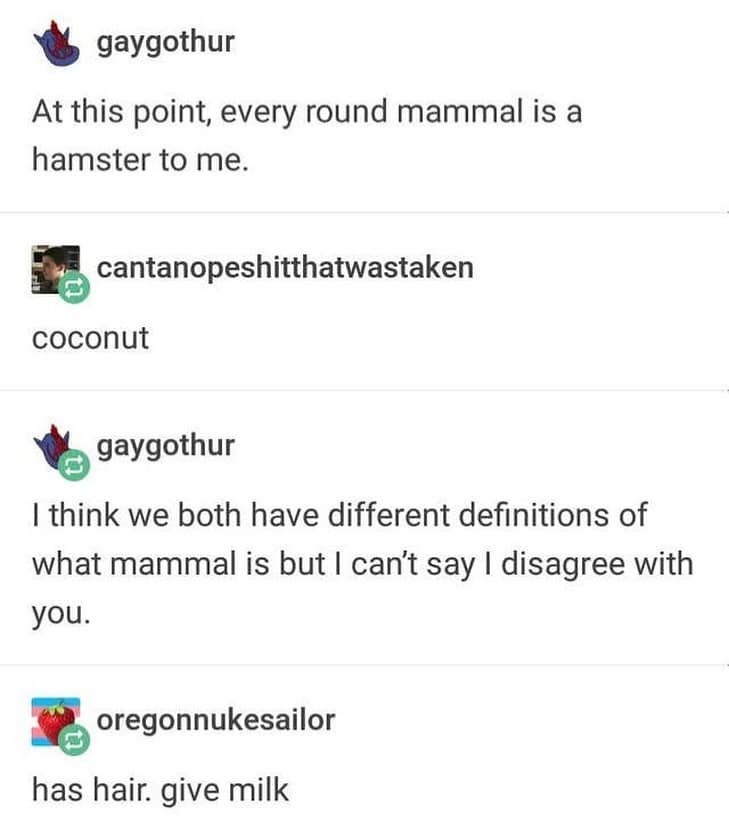 Tumblr thread arguing that a coconut is a mammal because it has hair and milk.