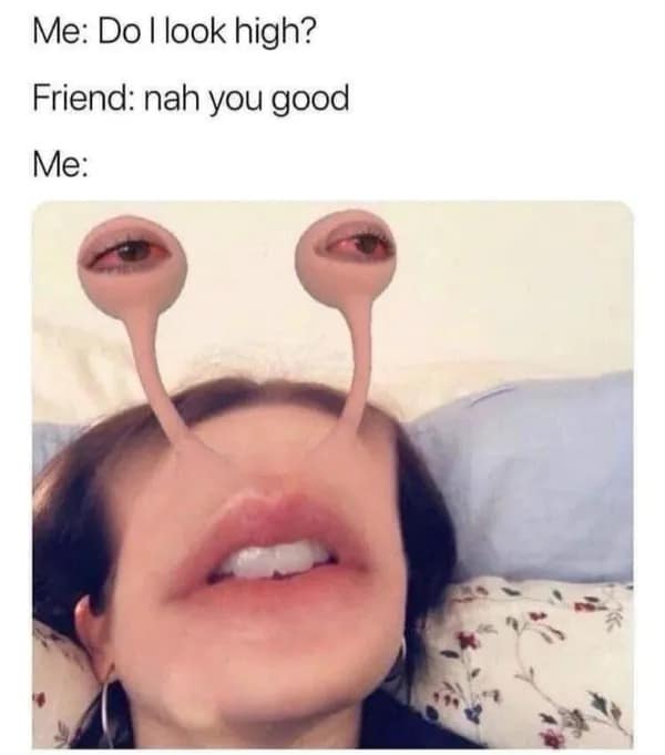 Funny stoner meme of a person with a filter giving them bloodshot snail eyes after asking "Do I look high?"
