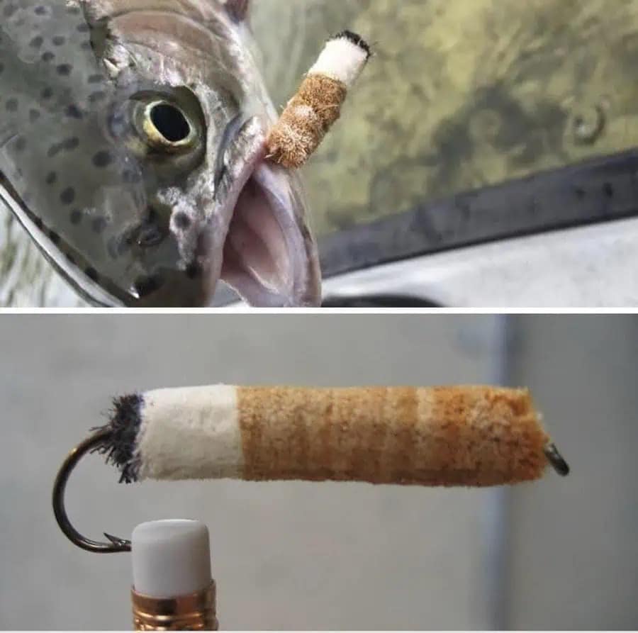 Fish caught on a fishing lure shaped like a cigarette butt in funny meme.