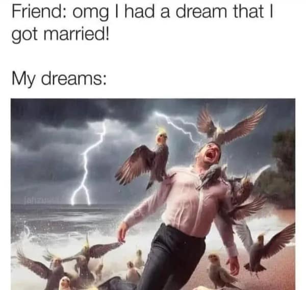 Funny "my dreams" meme, comparing a friend's normal dream to a chaotic one of a man being attacked by birds.