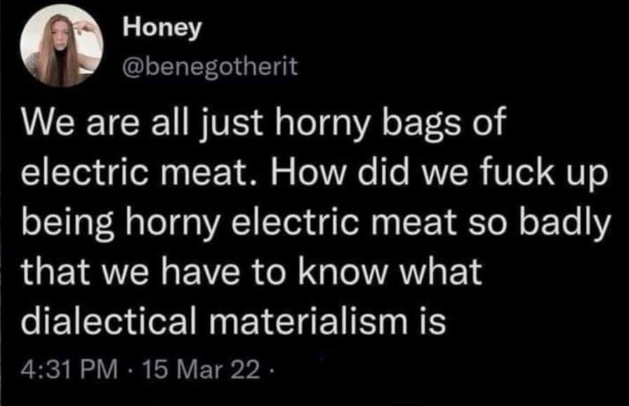 Tweet philosophizing about humans being horny bags of electric meat versus societal expectations.