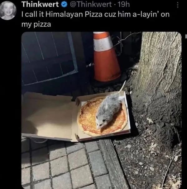 Text-based funny meme redefining being mean as actually just being spicy nice.