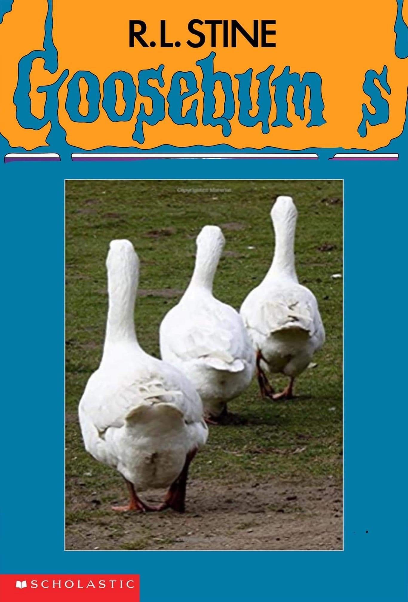 Goosebumps book cover parody titled Goosebums featuring photos of three white goose rear ends.