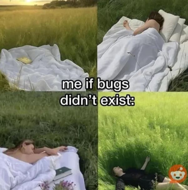 Funny meme with "cottagecore" aesthetic, captioned "me if bugs didn't exist," showing people sleeping in fields.