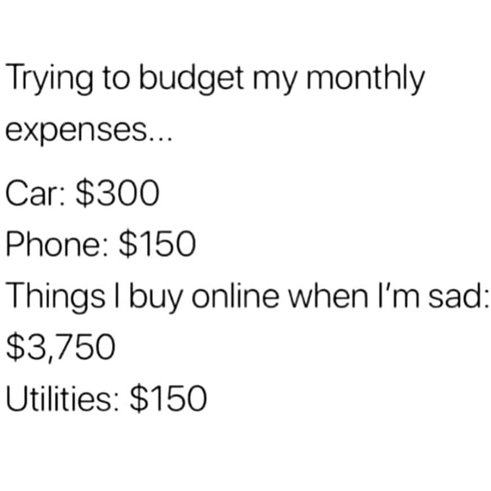 Funny pic meme showing a monthly budget where "Things I buy online when I'm sad" is the largest expense by far.