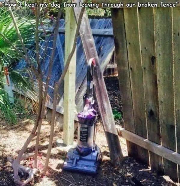 A vacuum cleaner placed in a broken fence hole to scare a dog from escaping, a funny solution.