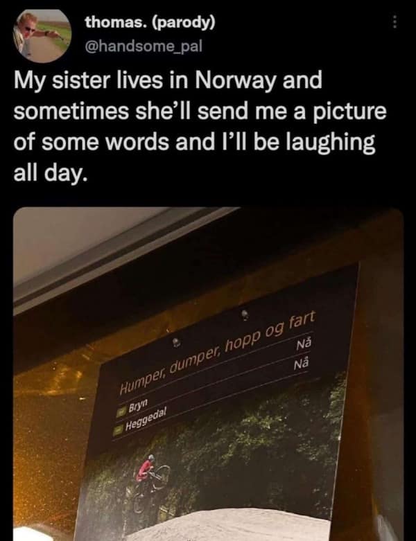 Funny pic of a Norwegian sign with the words "Humper, dumper, hopp og fart" causing English translation humor.