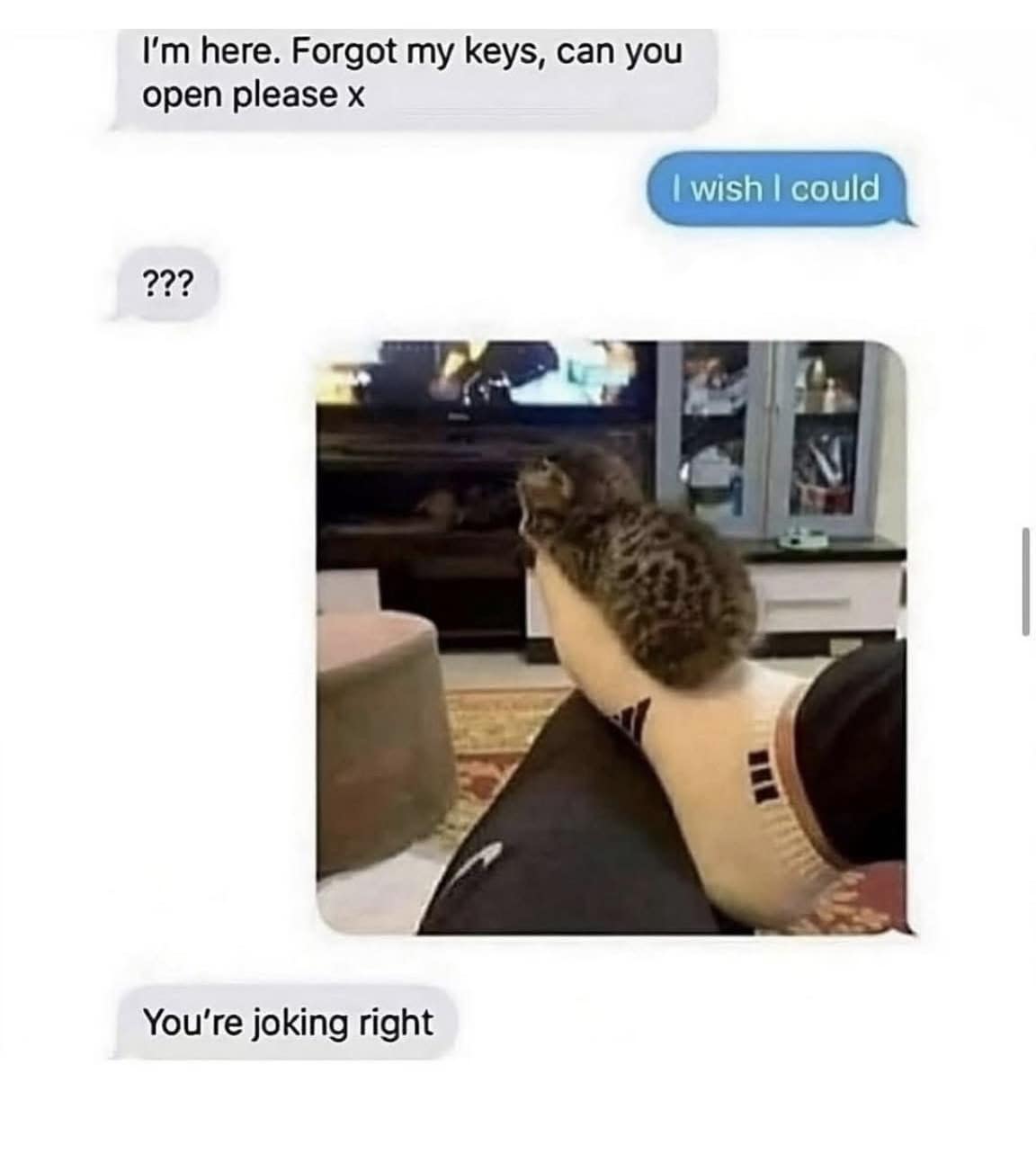 A funny text chat where someone can't open the door because a cat is sleeping on their leg.