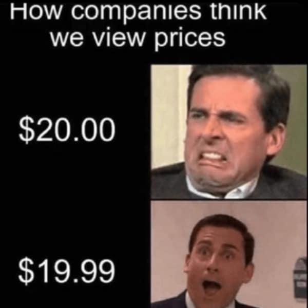 Funny pic meme using Michael Scott's face to mock the "charm pricing" strategy of using $19.99 instead of $20.00.