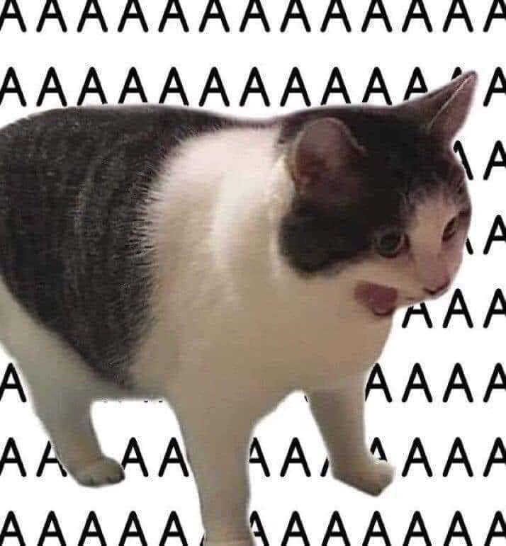A classic, funny picture of a cat with its mouth open, surrounded by the letter 'A' as if screaming.