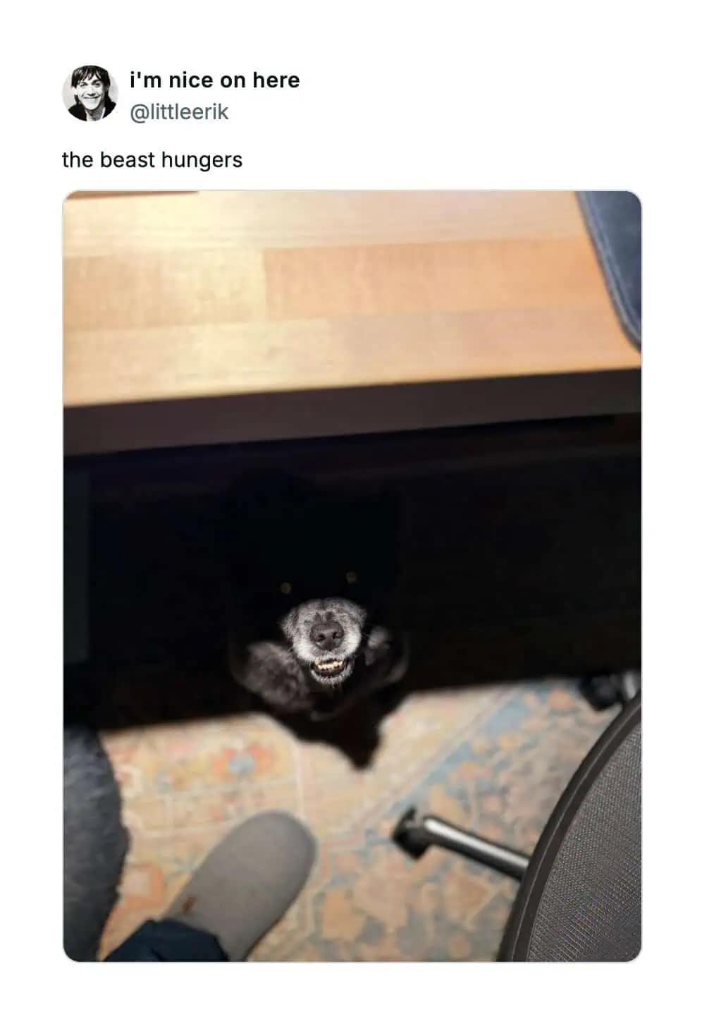 A funny pic of a black dog in the dark under a desk, with only its white teeth visible, "the beast hungers."