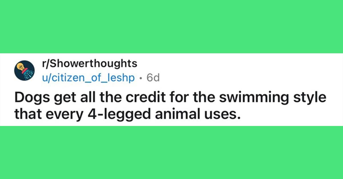 A gallery of the best funny shower thoughts and profound realizations from Reddit and Tumblr.
