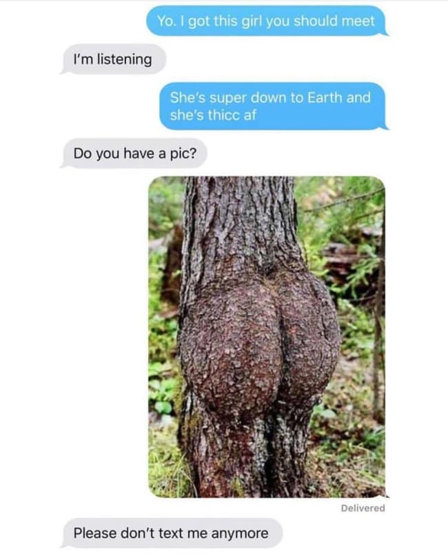 Funny text message prank where someone sets up a friend with a "thicc" girl, then sends a picture of a tree trunk.