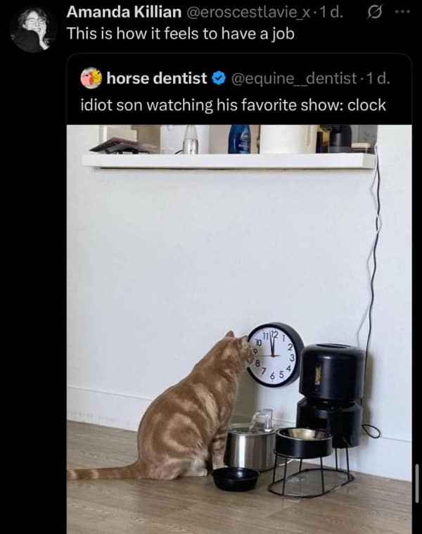 A funny work meme using the confused math lady to show the realization that "you are the problem" in the office.