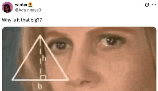 A google maps logo redesign meme using the "confused math lady" meme to ask, "Why is it that big??"