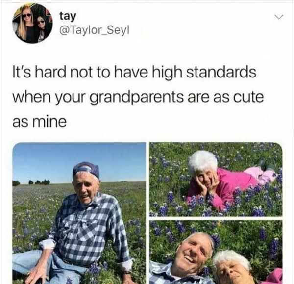 A wholesome tweet showing cute grandparents posing in a field of flowers, setting "high standards" for love.